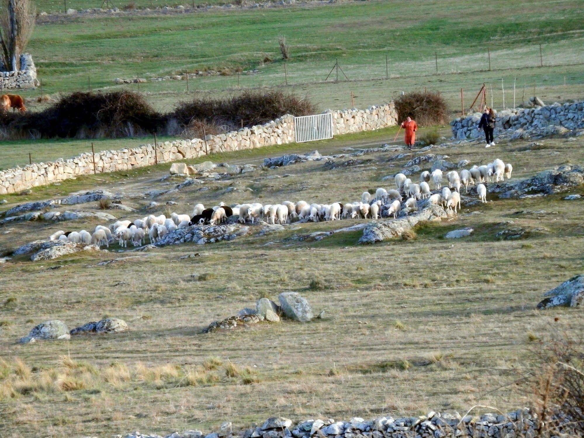 Casa Rural El Dolmen Bernuy-Salinero Kültér fotó